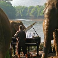 Beethoven 6 arranged for Piano and Elephants
